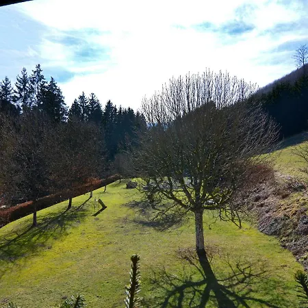 Lovely In Oberkirchen Near Golfing And Horse Riding Daire *